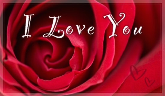 15514-i-love-you-rose
